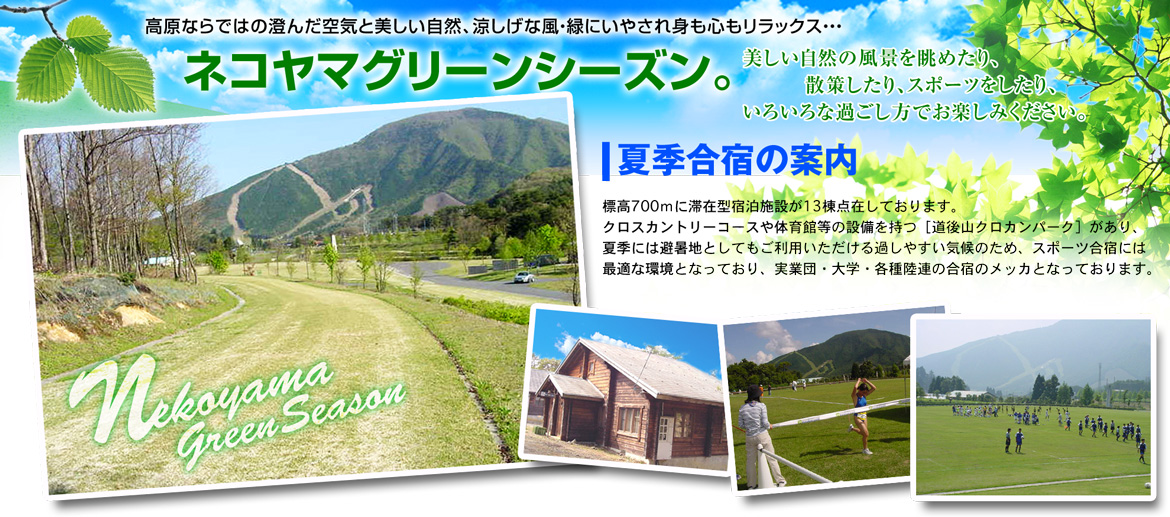 猫山合宿のご案内