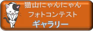 saidobar