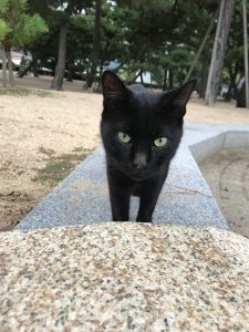 nishimura1